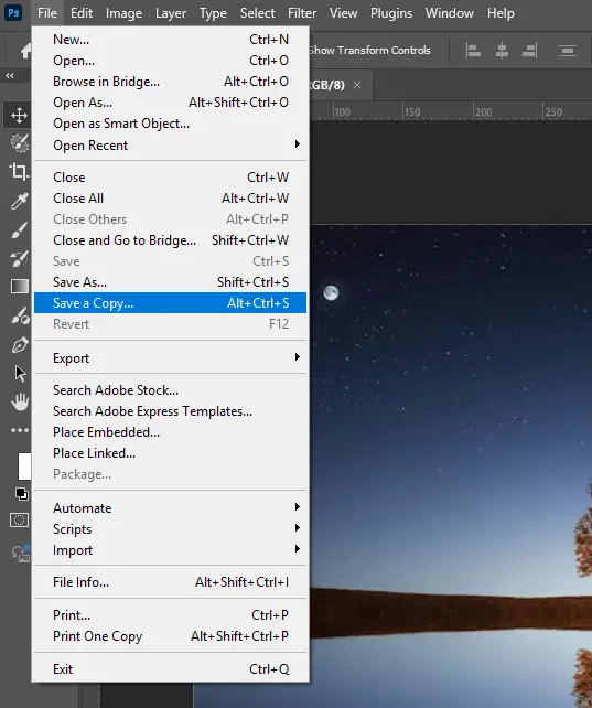 Image 02 - Go to File and then click Save a Copy