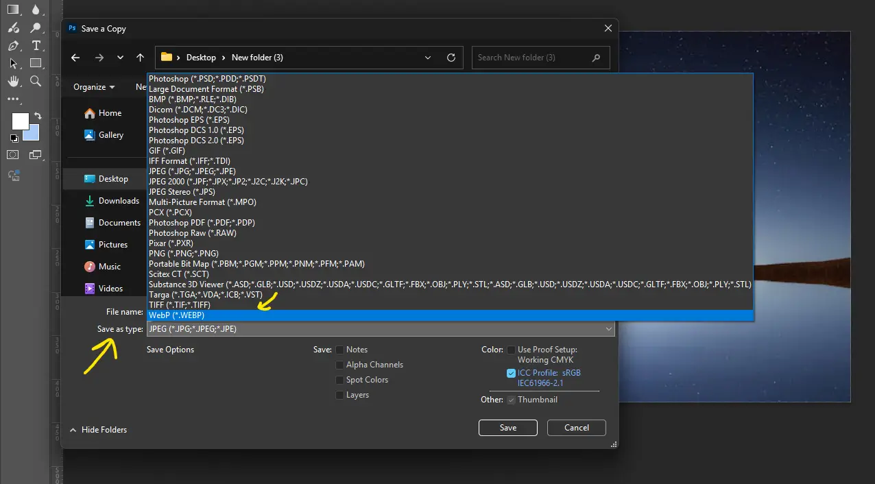 Image 03 - In this windows choose WebP format from the list.